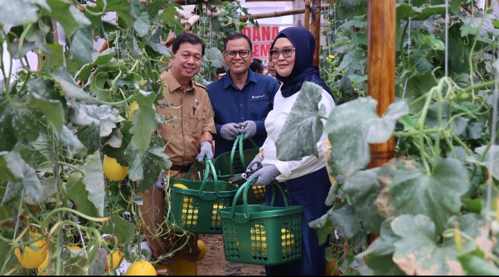 Screenshot_2024-09-13-05-57-46-37_99c04817c0de5652397fc8b56c3b3817