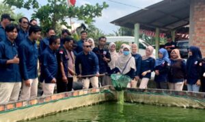 Lentera-Sukaoro-1 (1)