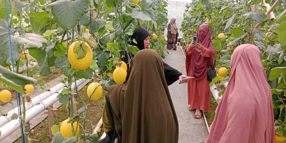 WhatsAppImage2025-07-11at09.52.25-ezgif.com-resize