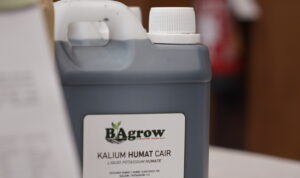 BA Grow (4)