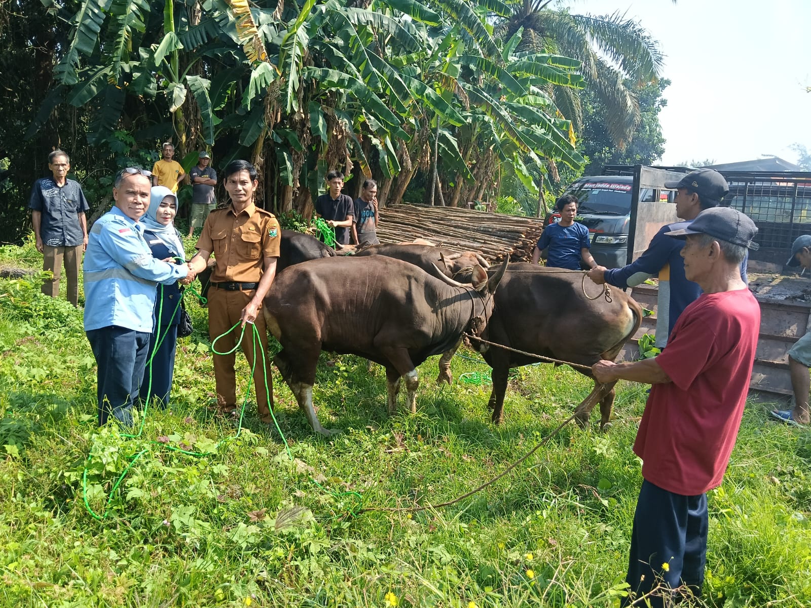 WhatsApp Image 2025-10-08 at 14.48.41