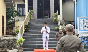 WhatsApp Image 2025-11-18 at 09.52.00