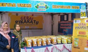 WhatsApp Image 2025-11-23 at 09.01.05